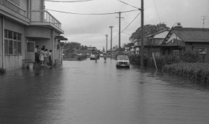 069五十一・九・十二(ネガ23)01（福寿町間島）.19760910